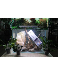 KIT STRIDEWAYS SADO 30P +TWINSTAR LIGHT SERIE B 30 +FILTRO AQUACLEAR 20