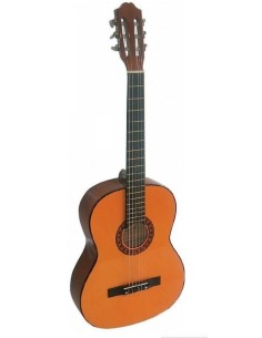 GUITARRA ROCIO R10