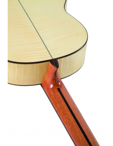 MANGO Y PARTE TRASERA