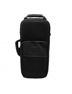 TROMPETA TAYLOR COLLINS SIB DORADA 2