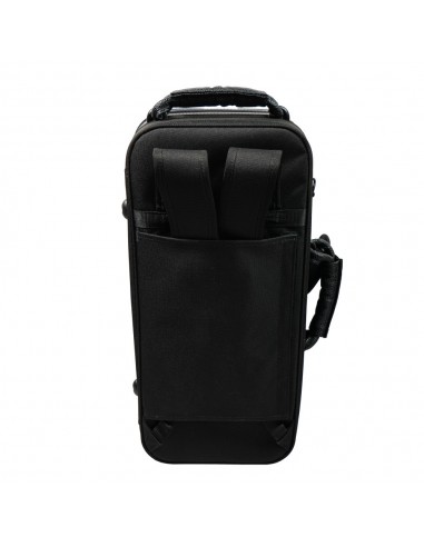 TROMPETA TAYLOR COLLINS SIB DORADA