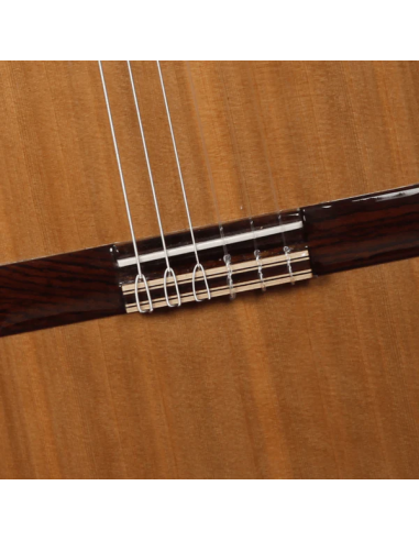 PUENTE IBERIA ZIRICOTE