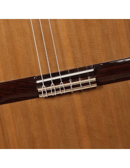 PUENTE IBERIA ZIRICOTE