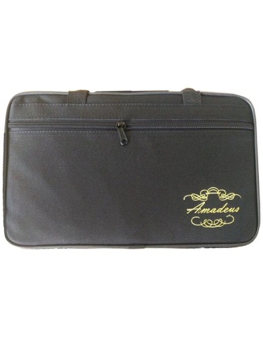 ESTUCHE CLARINETE